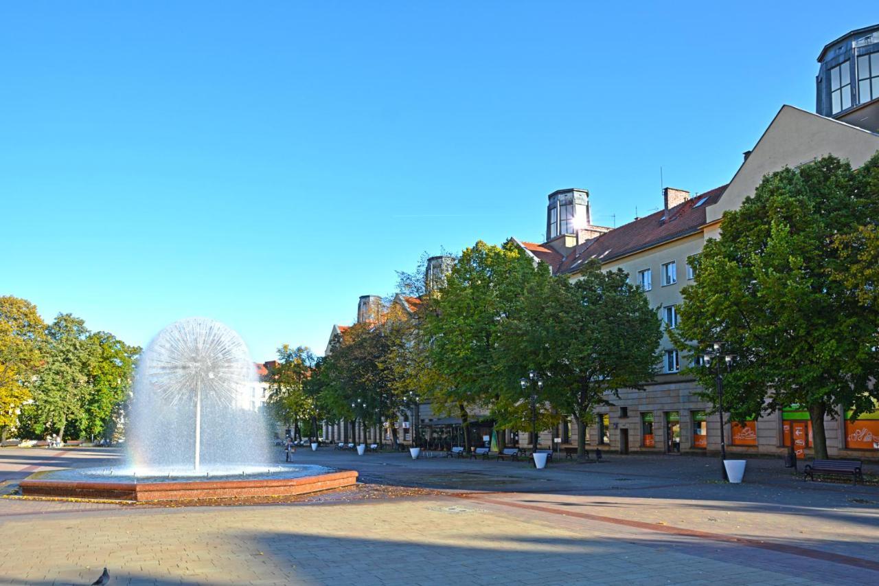 Sparrow Flat Old Town Apartment Tychy Exteriér fotografie